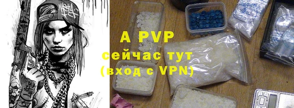 марки lsd Богородицк
