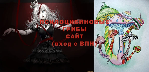 a pvp Богородск