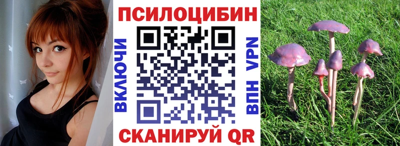 omg как зайти  цена   Коряжма  Галлюциногенные грибы прущие грибы 